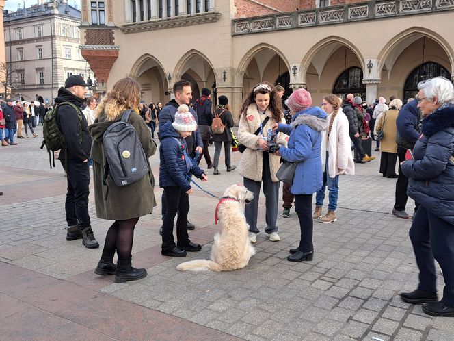 33. Finał WOŚP z grupą krakowskich Golden Retrieverów