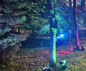 Olsztyn zamienił się w magiczną krainę. Park Świateł przyciągnął tłumy!