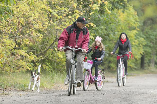 Korwin- Mikke zabrał rodzinę na rowery 