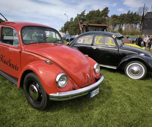 stara motoryzacja pod wiatrakami w Osiecznej