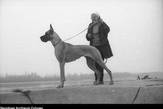 Te rasy psów królowały w PRL-u