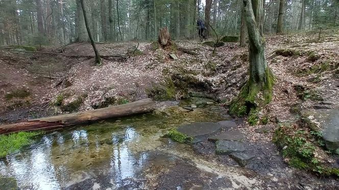 Źródło rzeki Kamiennej "Biały stok"