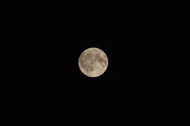 Pełnia Księżyca - Zdjęcie dnia