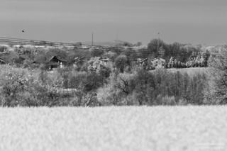 To trzeba zobaczyć. Z woj. lubelskiego widać Góry Świętokrzyskie