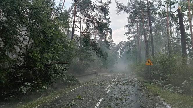 Niszczycielka nawałnica pod Świeciem! Przerażające zdjęcia