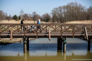 Ogłoszono przetarg na Park kulturowy Stary Radom 