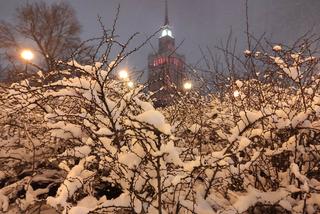 OGROMNA śnieżyca nad Warszawą. Miasto jest już białe. Grozi nam PARALIŻ?