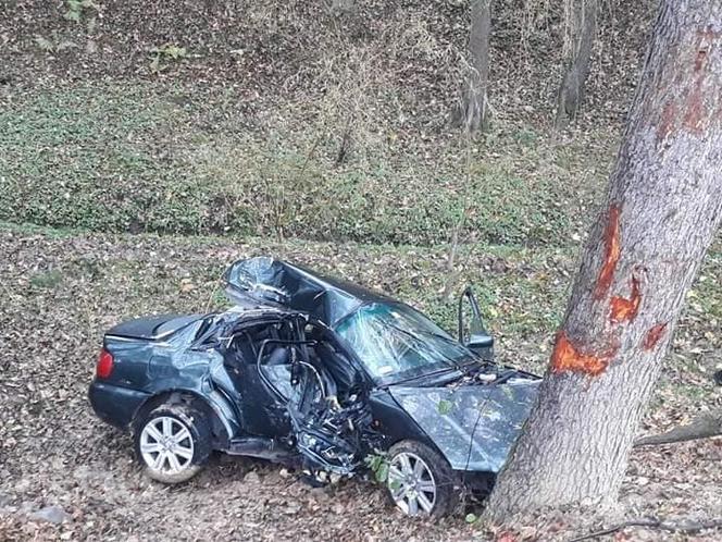 Libusza. Osobówka wypadła jezdni prosto na drzewo! W środku dwie zakleszczone osoby