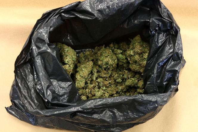 Policjanci ujawnili ponad pół kilograma marihuany