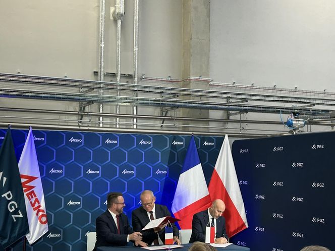 PGZ, MESKO i EURENCO