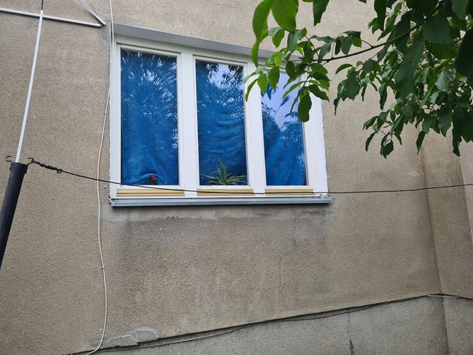 Stalowa Wola. Ela K. zabiła swojego konkubenta? [ZDJĘCIA]