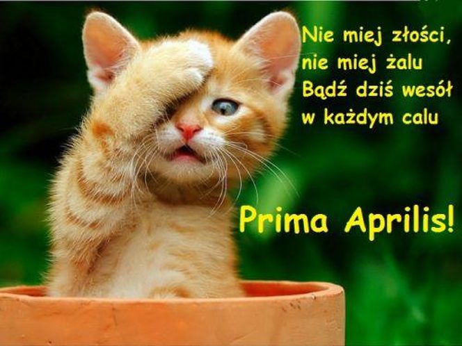 Kartki i grafiki na Prima Aprilis 2026. Pobierz za darmo i świętuj 1 kwietnia z humorem!