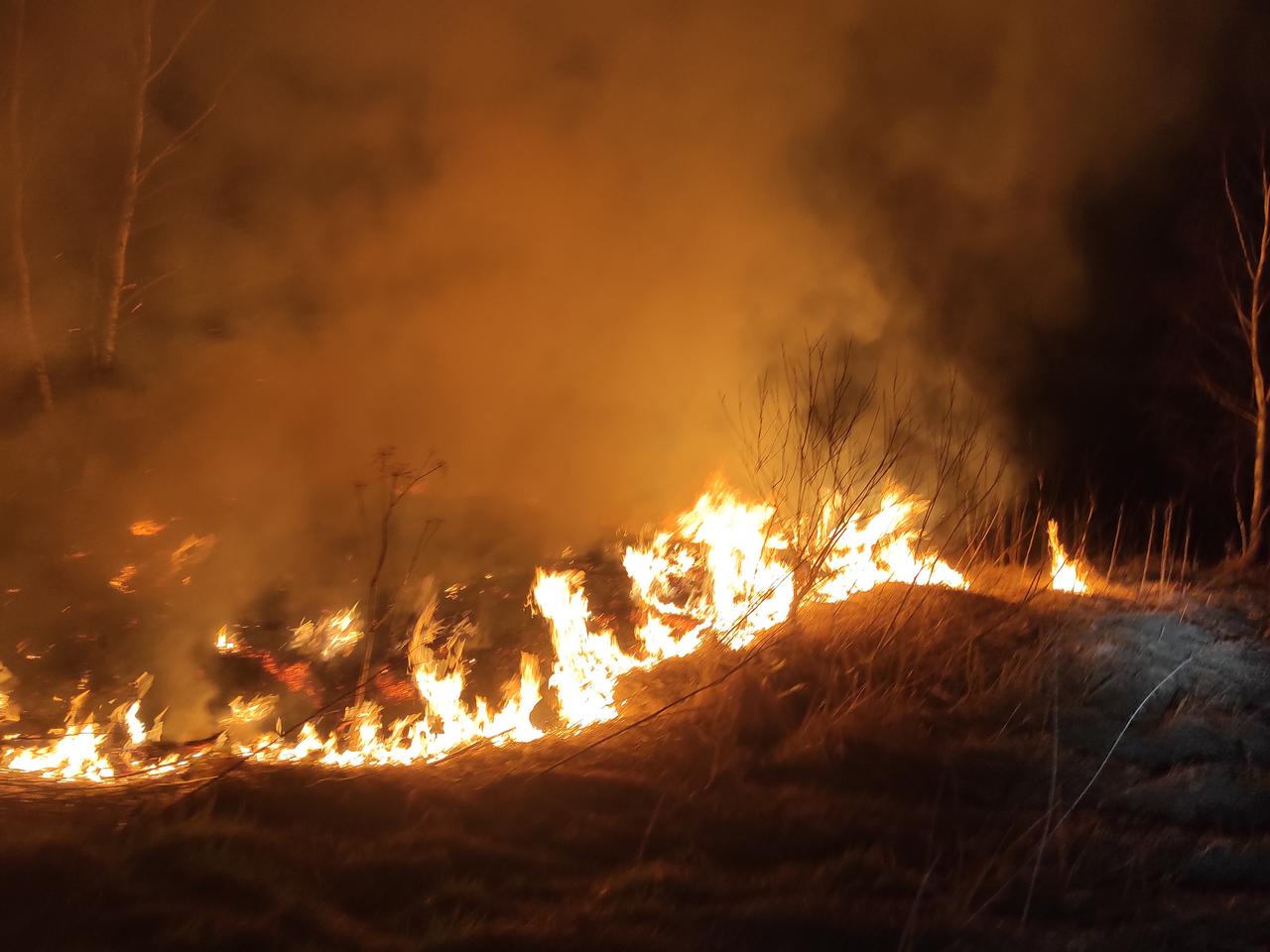 Apele nie docierają do wyobraźni osób beztrosko podpalających trawy