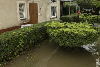  Ubezpieczenie nieruchomości na terenie po powodzi