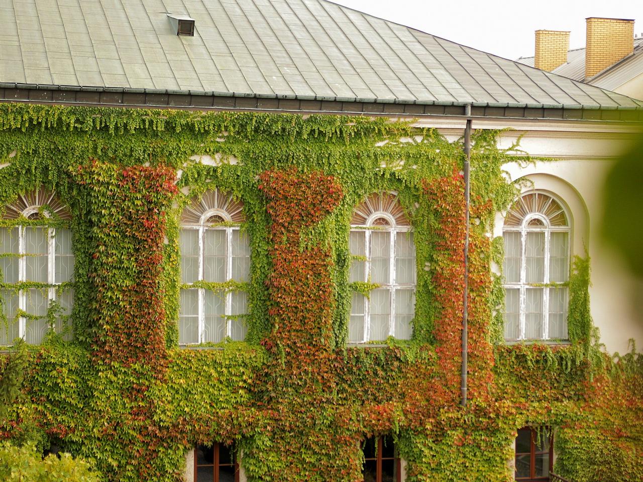 Karetki dla szpitala na Józefowie czy mini ogród botaniczny w Malczewskim. Są wyniki BOM