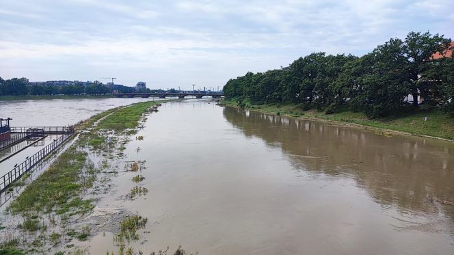 Fala powodziowa we Wrocławiu. Pod wodą są już beach bary i drogi 