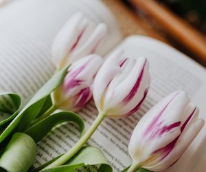 Wzruszające życzenia imieninowe dla Alberta. Z tych słów bije miłość i ciepło