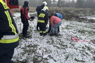 Tafla lodu zarwała się pod psami! Na ratunke ruszyli strażacy [ZDJĘCIA]