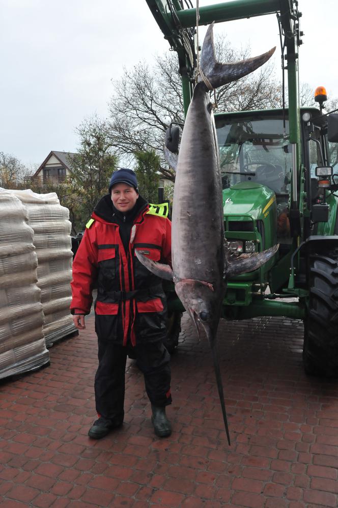 Największy miecznik w Bałtyku!