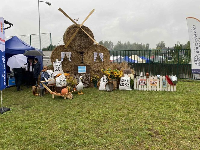 Dożynki w Jedlni