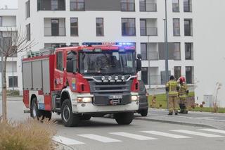 Akcja służb w Zielonce koło Warszawy