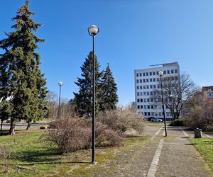 Najstarszy park miejski w Bydgoszczy zostanie odnowiony! Zmieni się nie do poznania