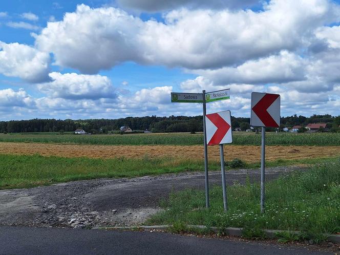 Dąbrowa Zielona w powiecie częstochowskim