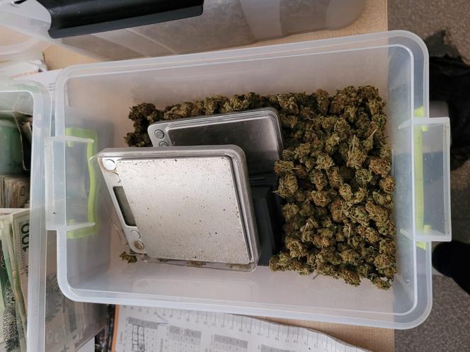 Marihuana