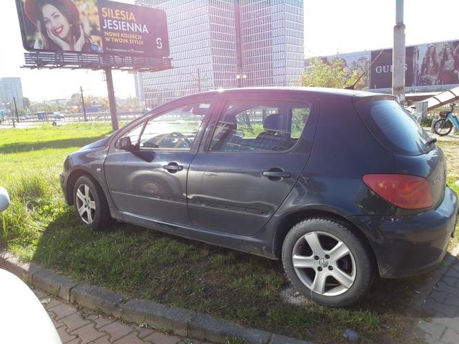 Mistrzowie parkowania w Katowicach ukarani przez Straż Miejską