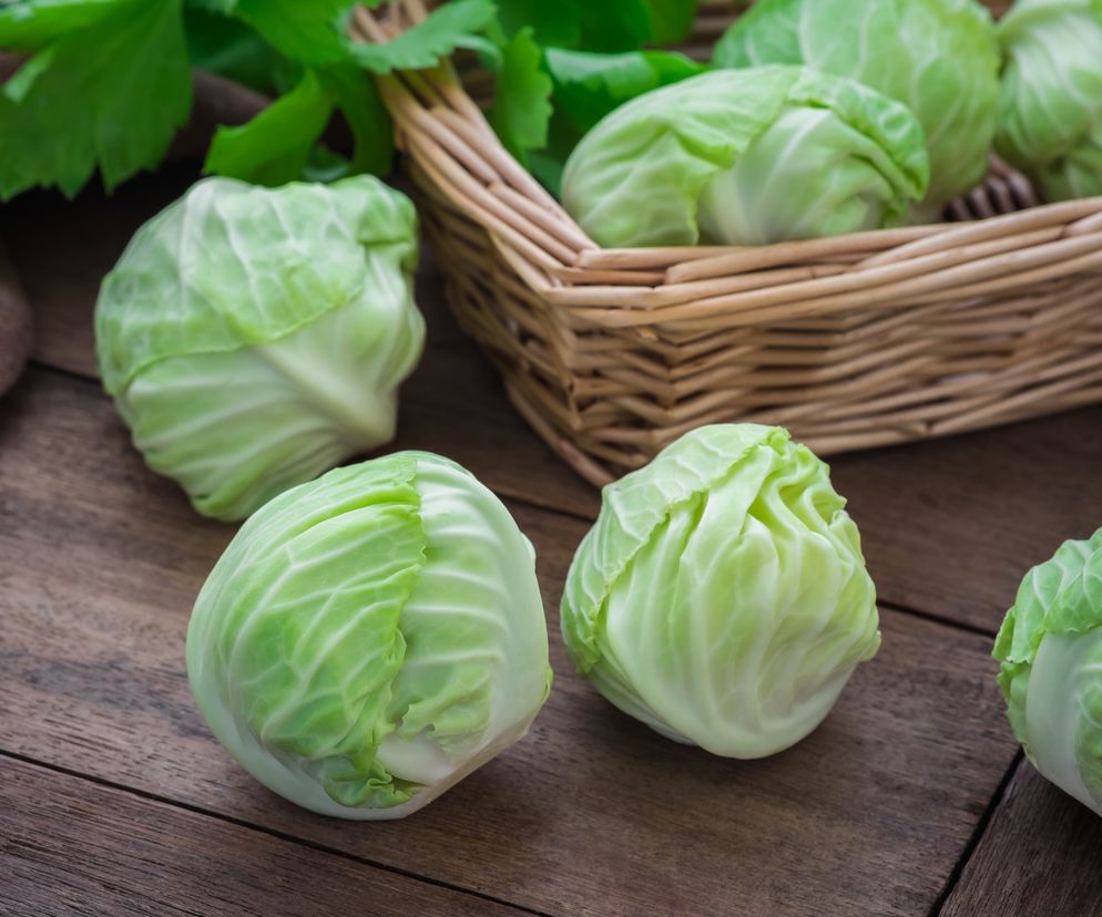 BRUKSELKA - właściwości odżywcze. Przepisy na dania z brukselką