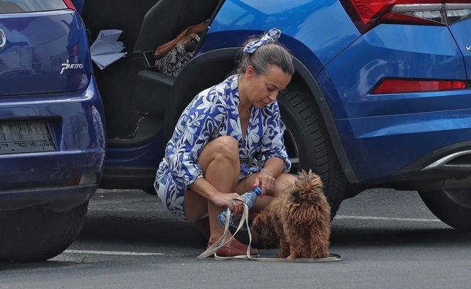 Anna Mucha nawadnia psa