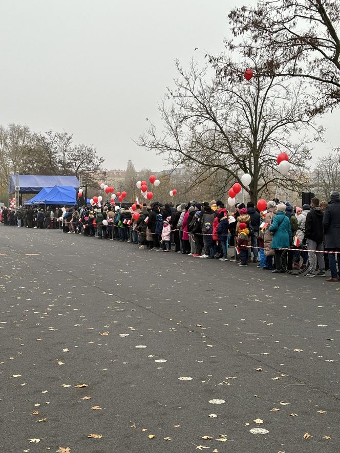 Wojewódzkie obchody Narodowego Święta Niepodległości w Poznaniu