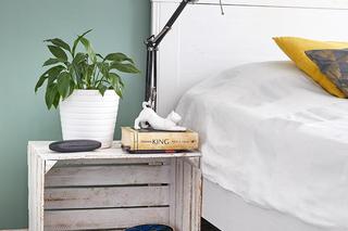 Lamperia - farba. Zdjęcia