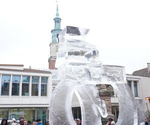 Poznań Ice Festival 2024 