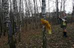 Akcja Szalik dla drzewa w Jaworznie
