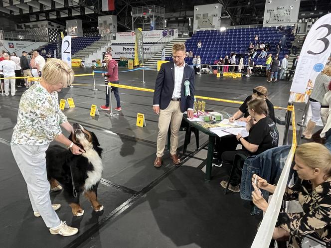 ​XXVII Międzynarodowa Wystawa Psów Rasowych - POMERANIA SHOW