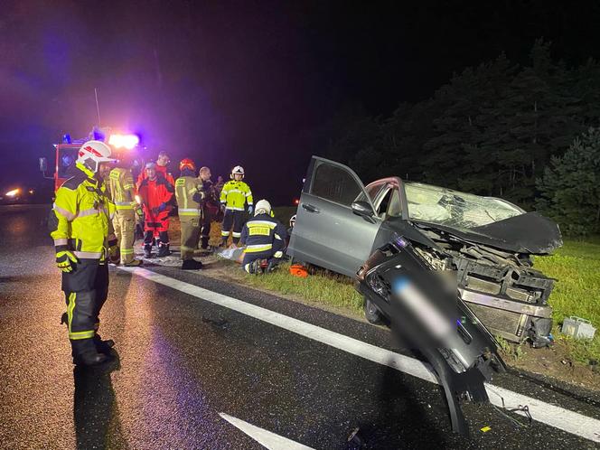 Wypadek na DK 10 w Przyłubiu pod Bydgoszczą! Rannych 7 osób, w tym dzieci [ZDJĘCIA]