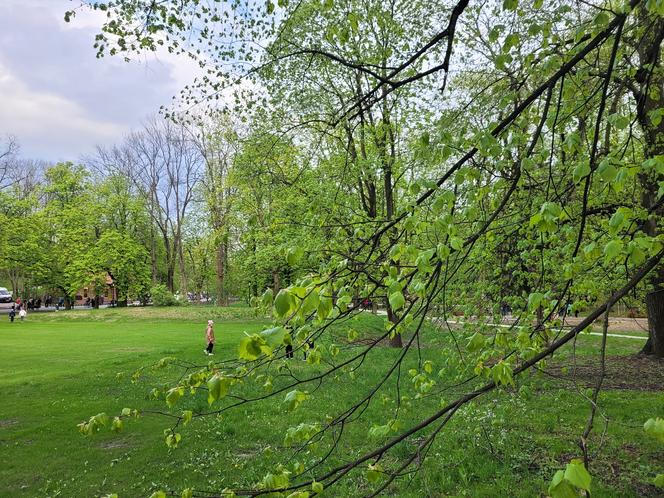 Kraków. Wyremontowany park Bednarskiego oficjalnie otwarty