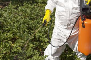 Środki ochrony roślin: insektycydy, fungicydy, herbicydy. Kompendium wiedzy o preparatach do ochrony roślin