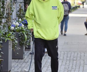 Te psy skradły serca gwiazd! 