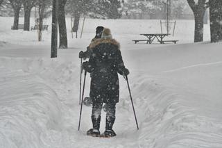 Tego dnia spadnie pierwszy śnieg! Synoptycy wskazali KONKRETNĄ datę