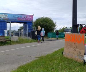 Mistrzowie biznesu na Open'er Festiwalu 2024