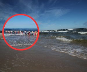 Dramatyczna akcja w Łebie! 3-latek zaginął na plaży, bo chciał umyć rączki w morzu