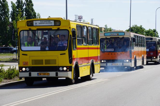 Zlot zabytkowych autobusów 2022 w Bydgoszczy [ZDJĘCIA] 