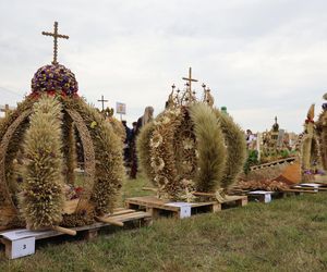 Dożynki wojewódzkie 2025 w Świdniku
