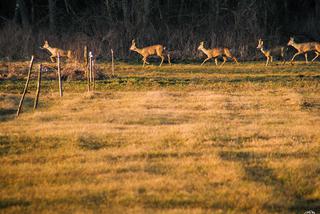 Piękno przyrody [ZDJĘCIE DNIA]