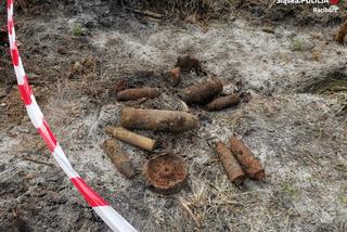 Śląskie: Rolnik dokonał szokującego odkrycia. Nieostrożność mogła go kosztować życie!