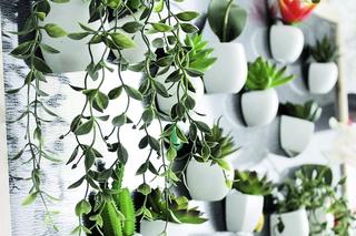 Magnesy ozdobne, magnetyczne farby i folie oraz gadżety – tematyczne kolekcje