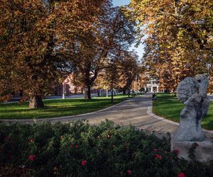 Plac Kościeleckich w Bydgoszczy po przebudowie