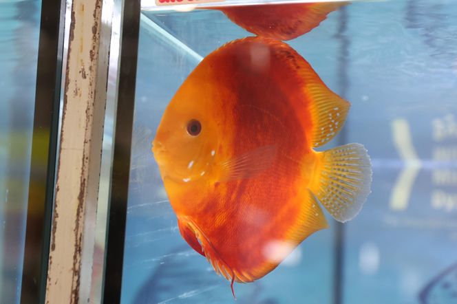 ZooPark ponownie przyciągnął do Targów Lublin tłumy miłośników zwierząt
